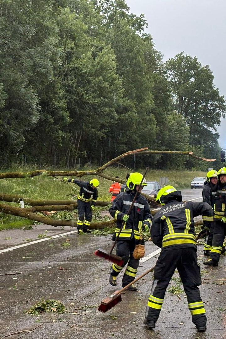 Viele Feuerwehreinsätze durch umgestürzte Bäume.
