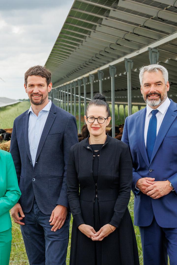Vier Personen stehen vor Solarmodulen und einer Schafherde, im Hintergrund Windräder.