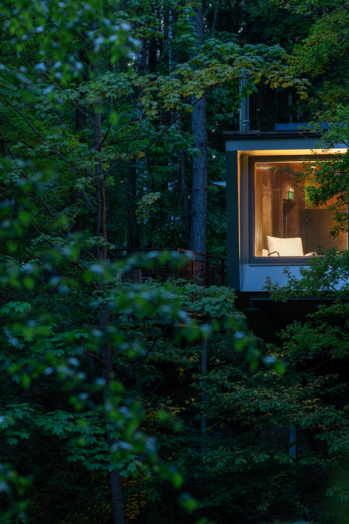 Ein modernes, beleuchtetes Haus mit großem Fenster steht umgeben von dichtem grünen Wald.