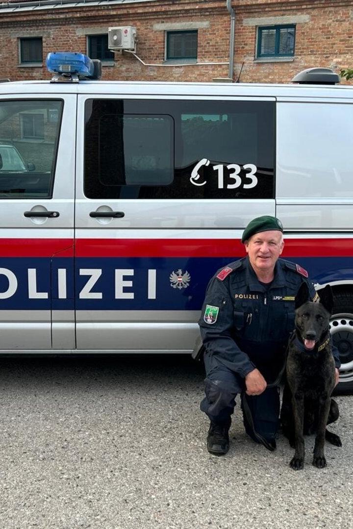 Der Diensthundeführer mit Polizeihund Nox.