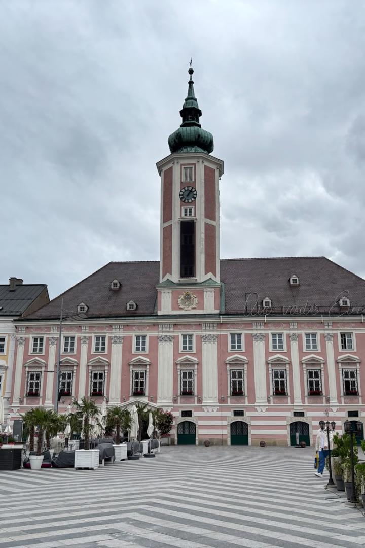 Eine Aufnahme vom St. Pöltner Rathaus.