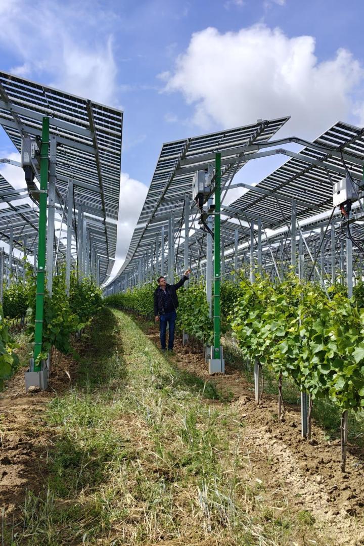 Agri-PV Zistersdorf