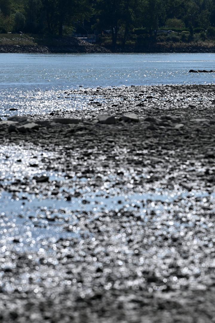 ++ THEMENBILD ++ KLIMA / TROCKENHEIT / WASSER / DONAU