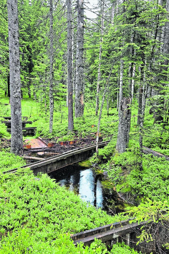 Moor Bad Goisern