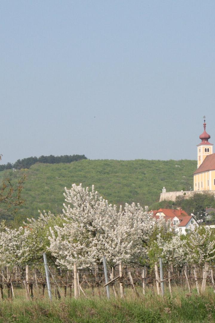 Kirche auf einem Hügel über blühenden Obstbäumen und Dorfhäusern.