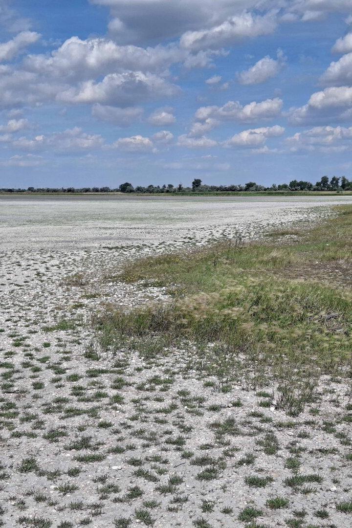 Weite, trockene Gras- und Salzfläche unter blauem Himmel mit vielen Wolken.