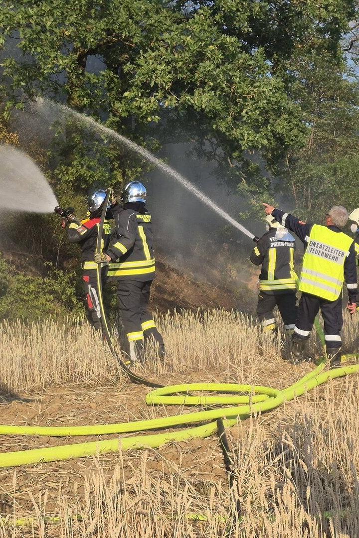 Löscheinsatz bei Waldbrand