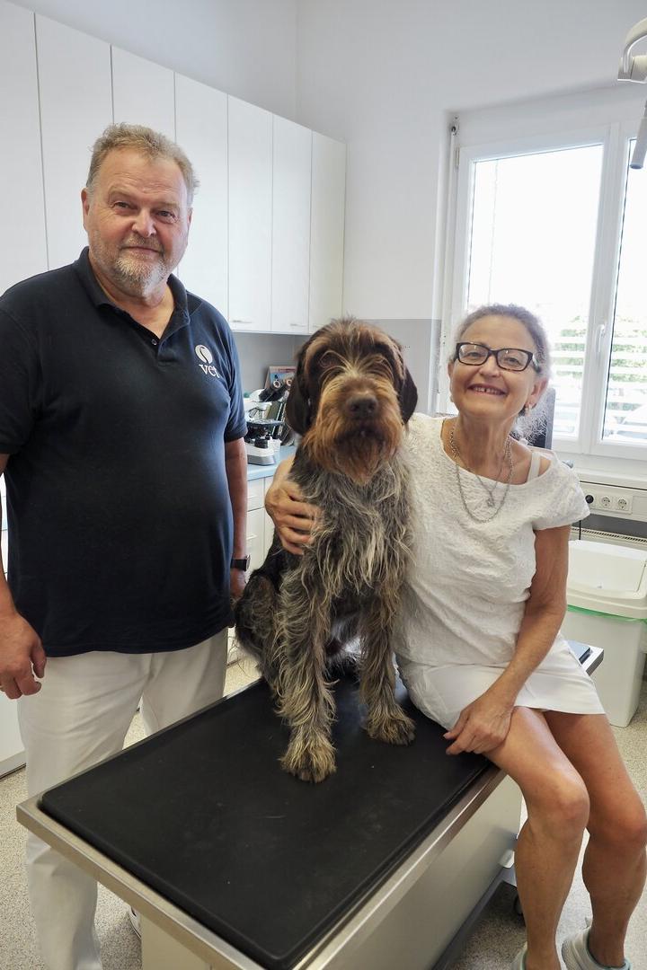 Ein Tierarzt und eine Frau stehen in einer Praxis neben einem auf dem Behandlungstisch sitzenden, zotteligen Hund.