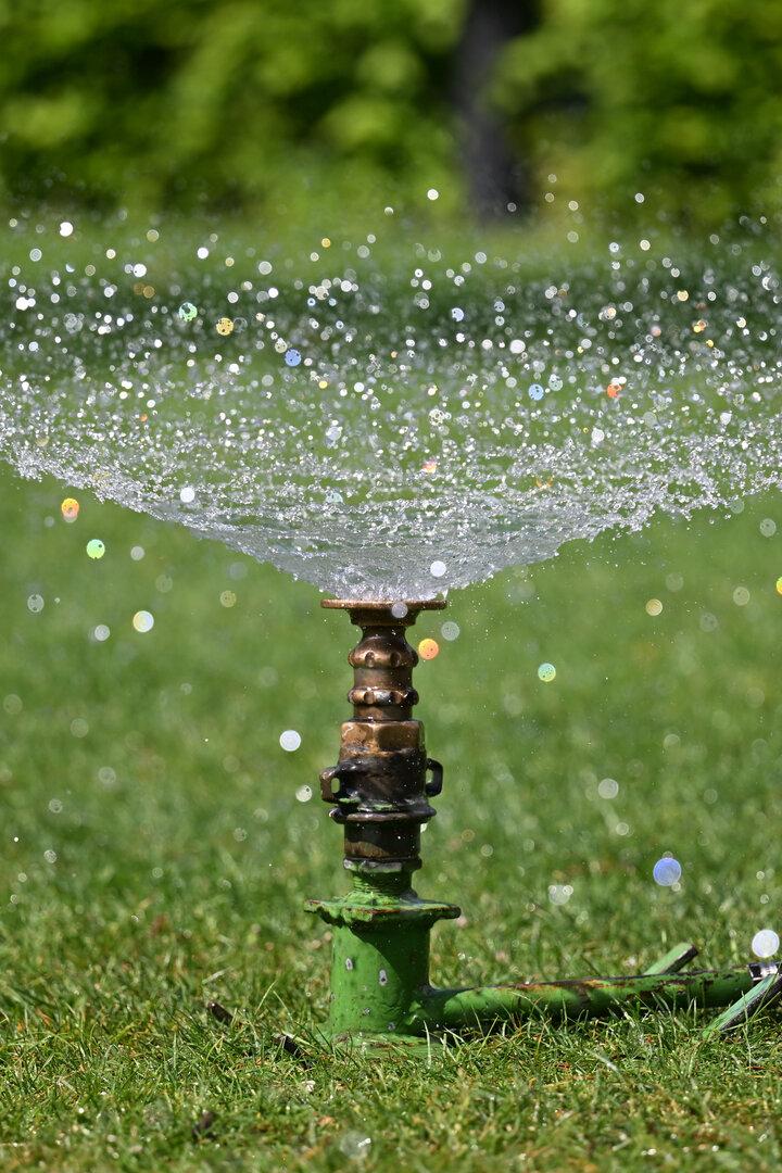 Ein Rasensprenger verteilt Wasser auf einer grünen Wiese.