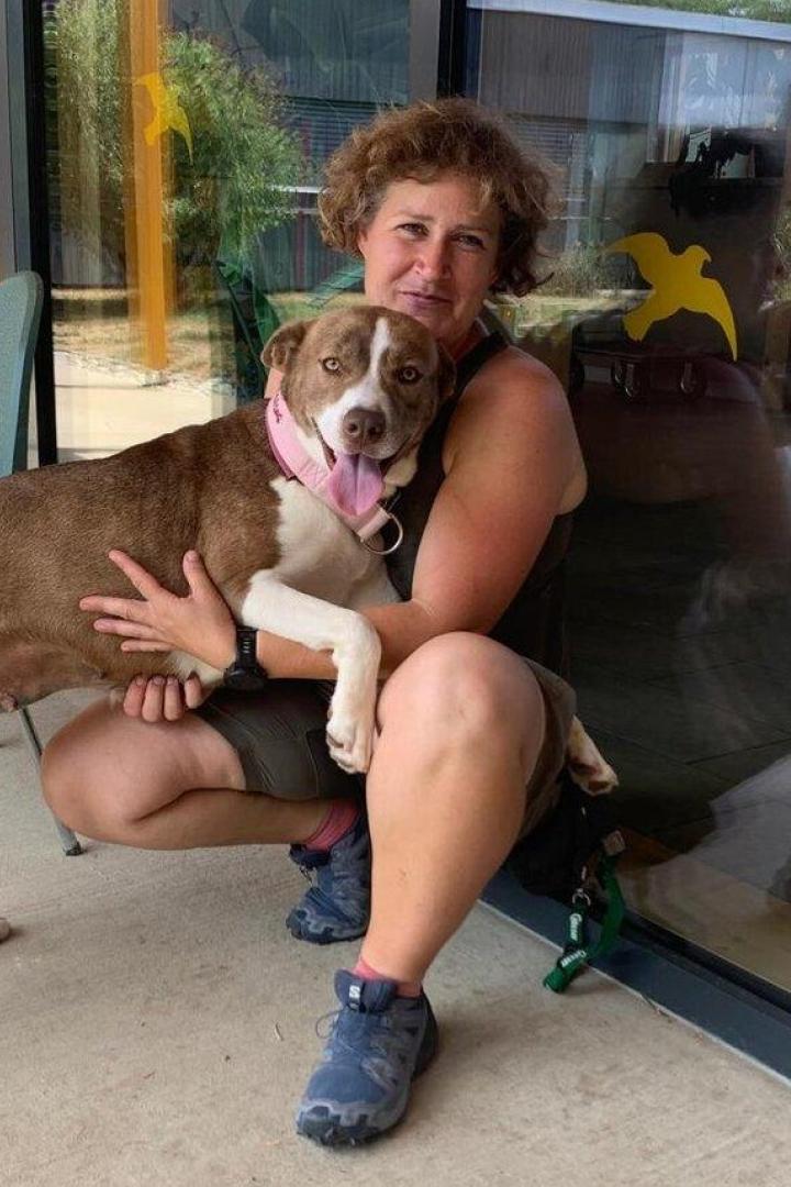 Eine Frau und ein Hund sitzen vor einer Glasfront