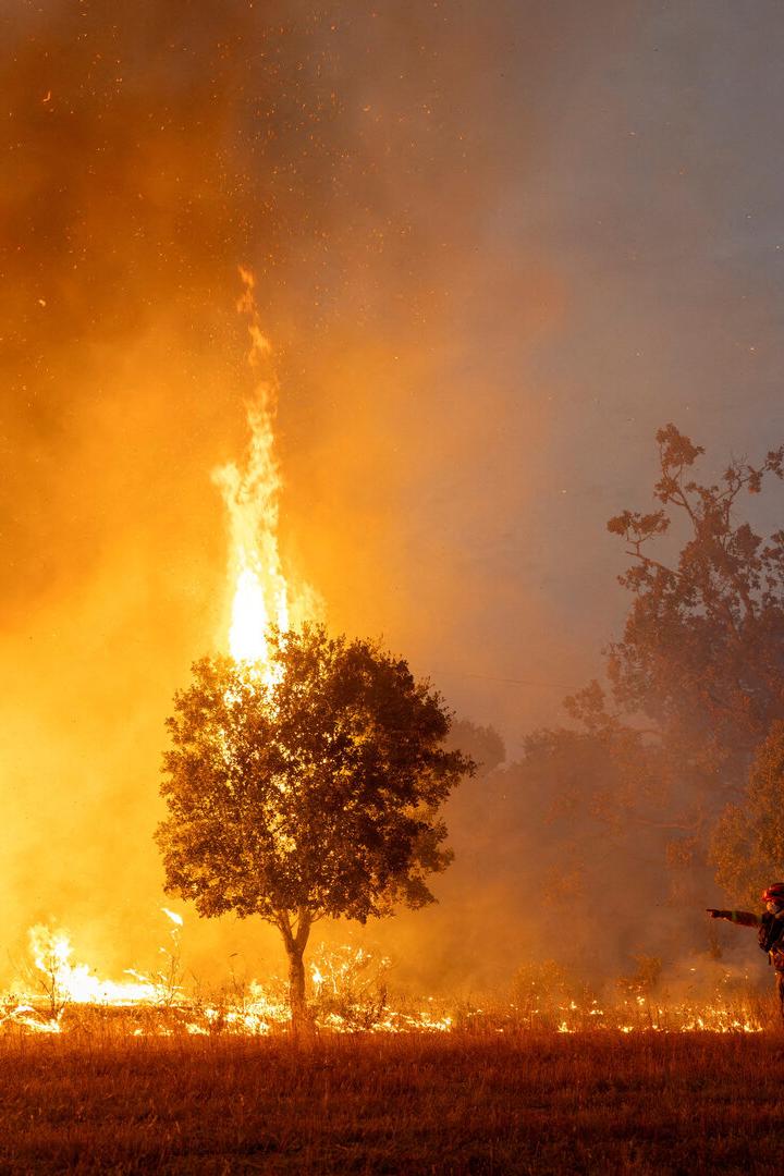 Spanish and French firefighters feeling the strain of tackling huge wildfires