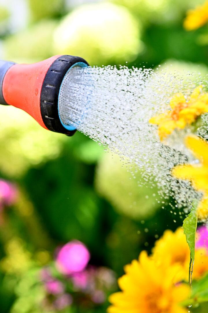 ++ THEMENBILD ++ WASSER / WASSERVERBRAUCH / WASSERSPARMASSNAHMEN / WASSER SPAREN / TRINKWASSER / WETTER / HITZE / TROCKENHEIT / KLIMA