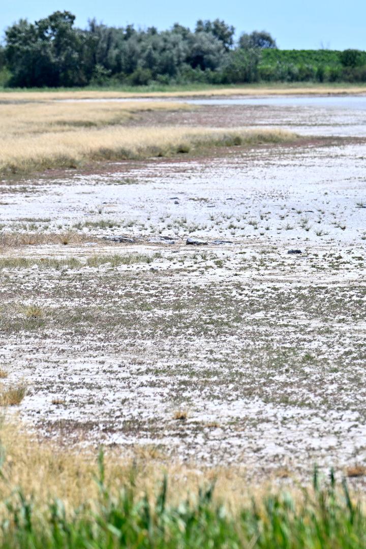 Trockenes Feuchtgebiet mit Salzkruste, Schilfgras und einer Wasserfläche im Hintergrund.