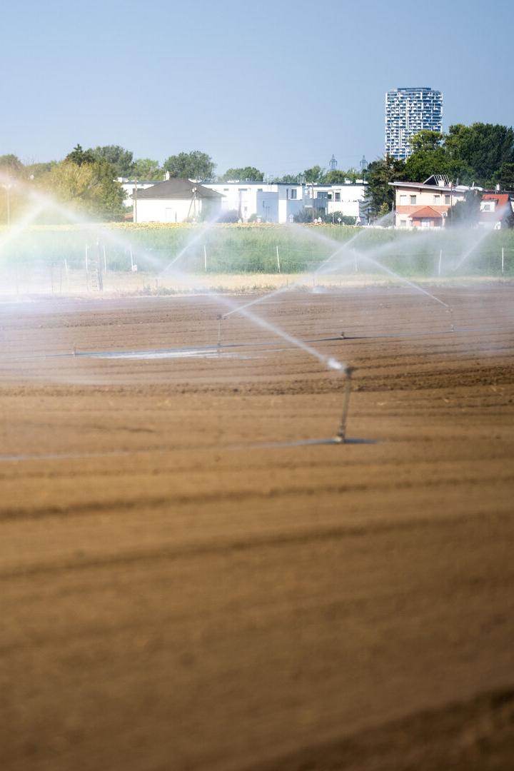 ++ THEMENBILD ++ HITZE / TROCKENHEIT / GRUNDWASSERVORRAT / BEWÄSSERUNG / BEWÄSSERUNGSANLAGE / LANDWIRTSCHAFT / GRUNDWASSER / KLIMA