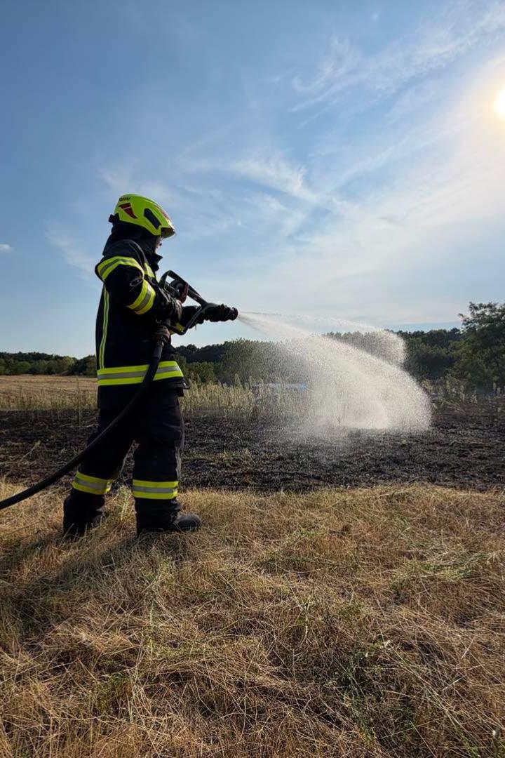  Feldbrand bei Enzersdorf im Thale