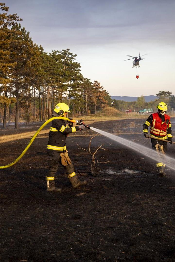 Waldbrand Föhrenwald St. Egyden 2026