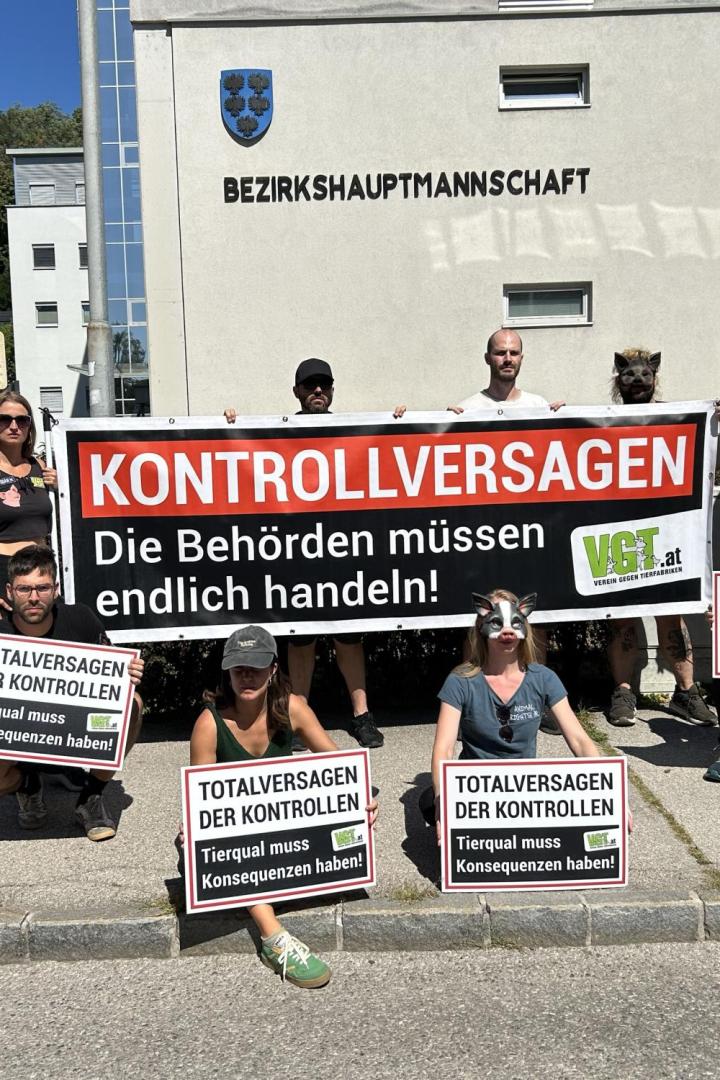 Protest mit Plakaten vor der Bezirkshauptmannschaft Scheibbs.