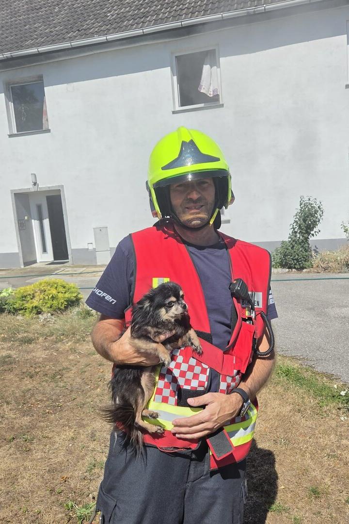 Feuerwehrmann mit gerettetem Hund