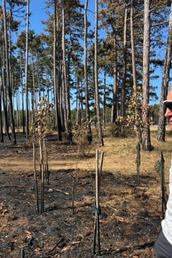 Josef Grabner Föhrenwald