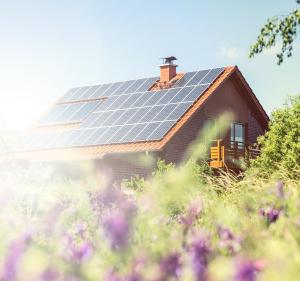 5 Fragen zur Sonnenenergie | kurier.at