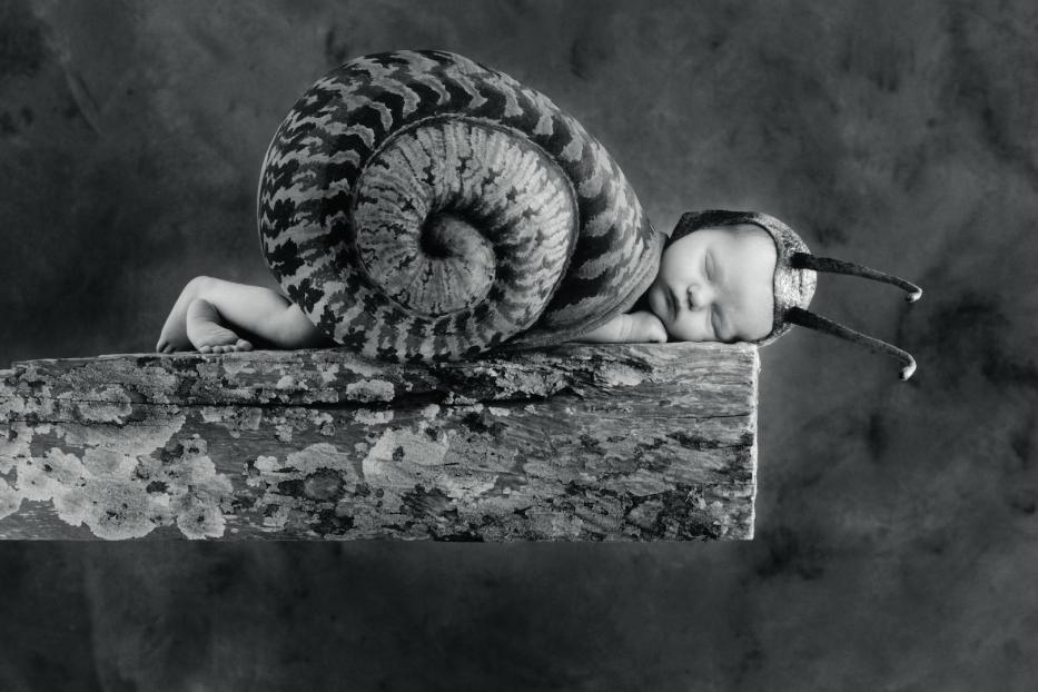 Ein schlafendes Baby, verkleidet als Schnecke, liegt auf einem Holzbrett.