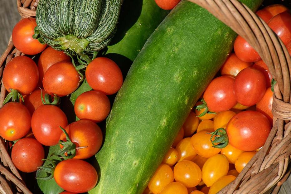 Ein Korb gefüllt mit Tomaten, Zucchini und einer Gurke.