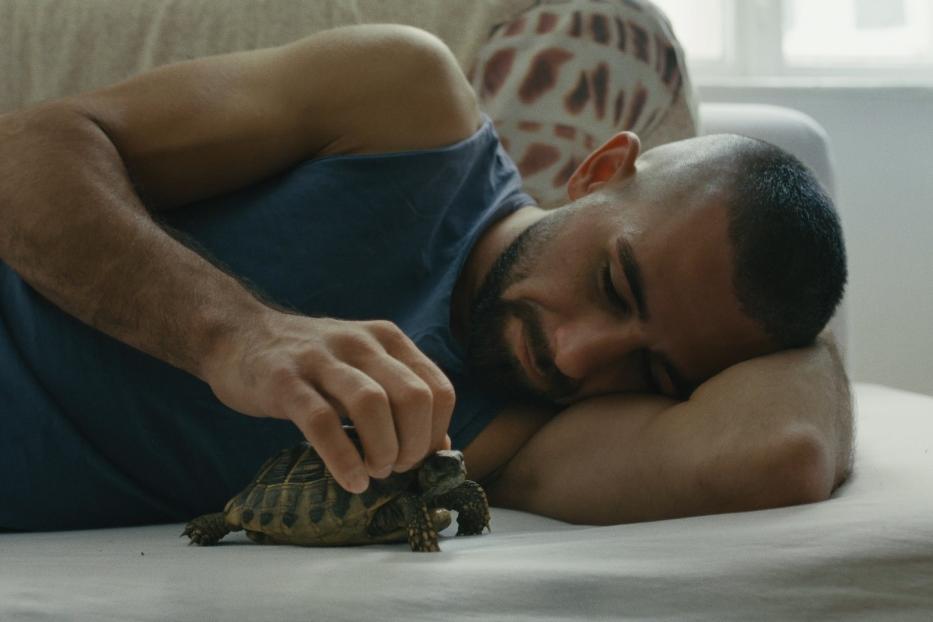Ein Mann liegt auf einem Sofa und streichelt eine Schildkröte.