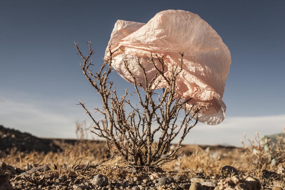 Eine Plastiktüte verfängt sich in einem dornigen Busch in einer trockenen Landschaft.