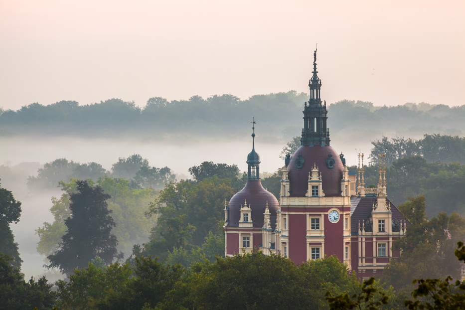 Schloss Bad Muskau ragt im Nebel über die Baumwipfel hinaus.