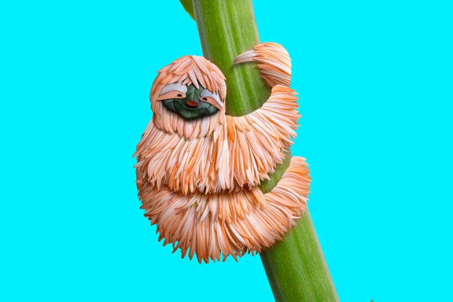 Ein Faultier aus Blumen klammert sich an einen grünen Stängel vor blauem Hintergrund.