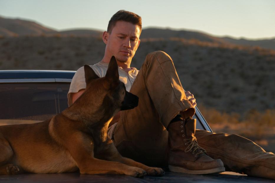 Channing Tatum sitzt mit einem Malinois auf der Motorhaube eines Autos in einer Wüstenlandschaft.