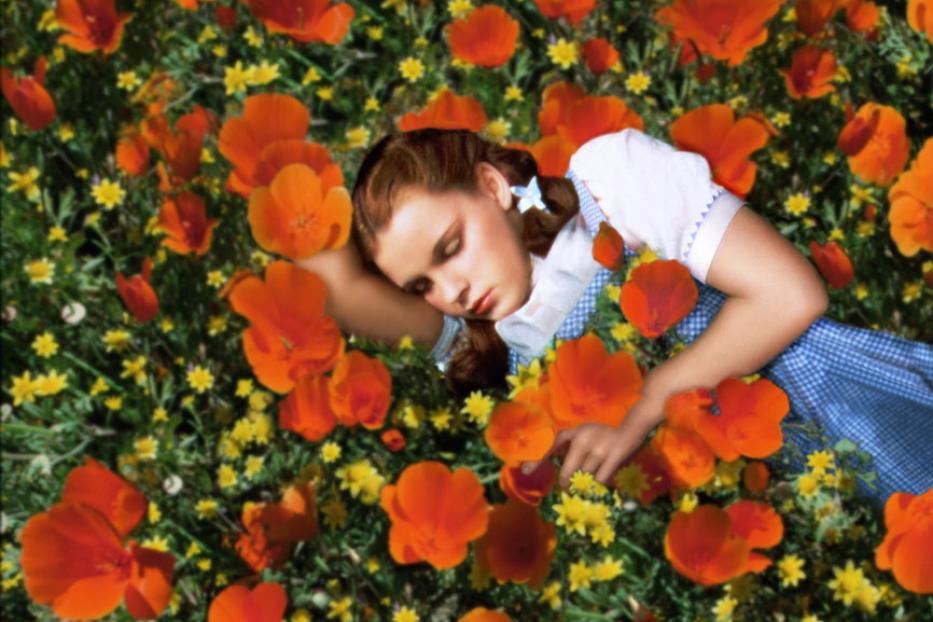 Dorothy liegt schlafend in einem Feld voller Mohnblumen.