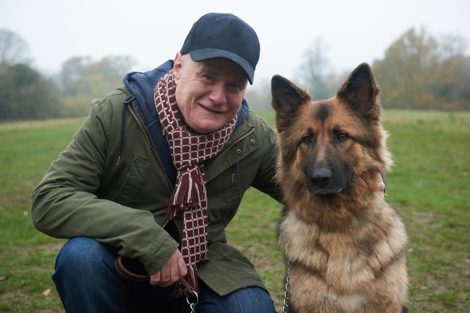 Ein Mann kniet neben einem Deutschen Schäferhund auf einer Wiese.