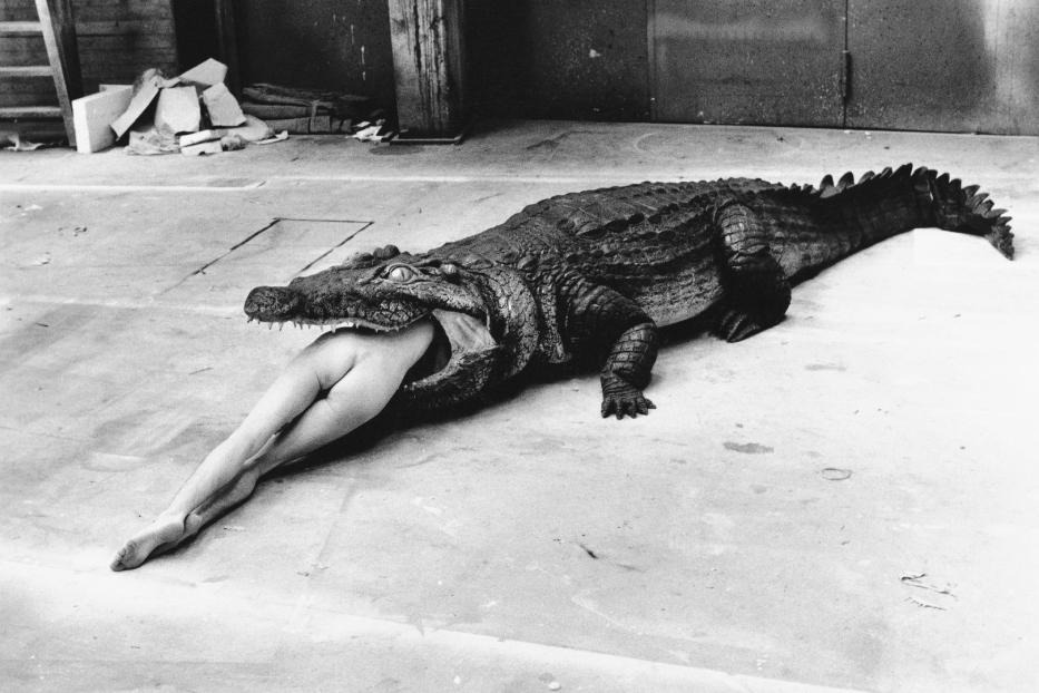 Ein Krokodil hat die Beine eines Menschen im Maul.