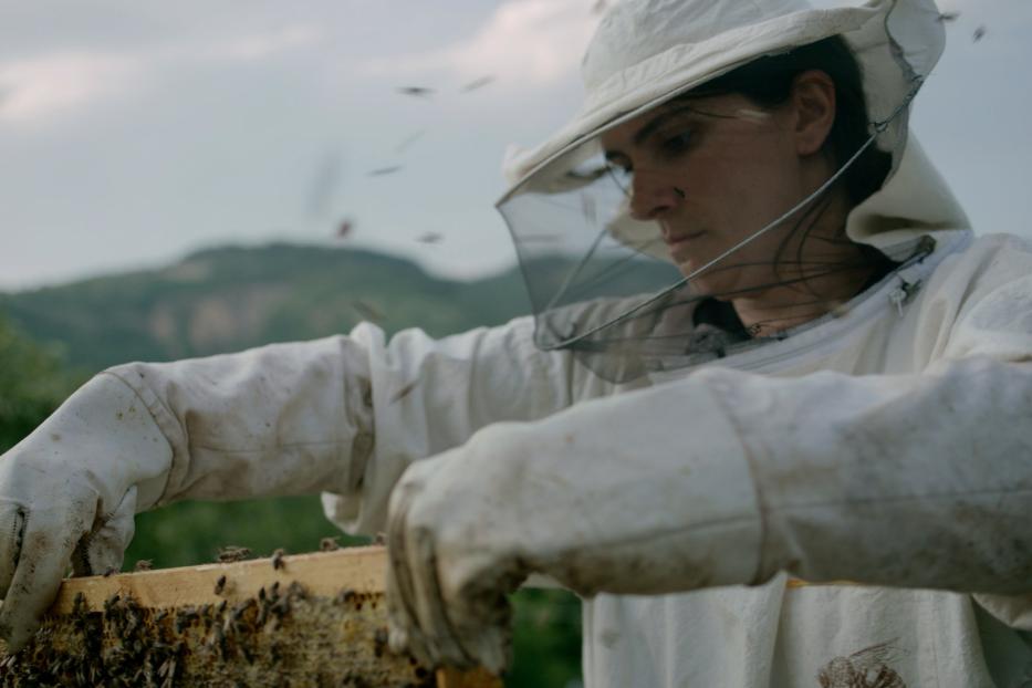 Eine Imkerin untersucht eine Bienenwabe, geschützt durch einen Schleier und Handschuhe.