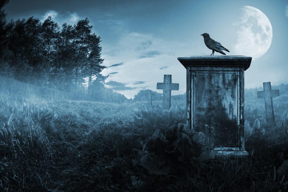 Ein Rabe sitzt auf einem Grabstein auf einem Friedhof im Mondschein.