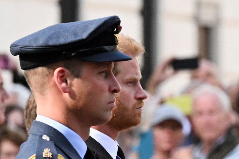Prinz William in Uniform und Prinz Harry im Profil, umgeben von Zuschauern.