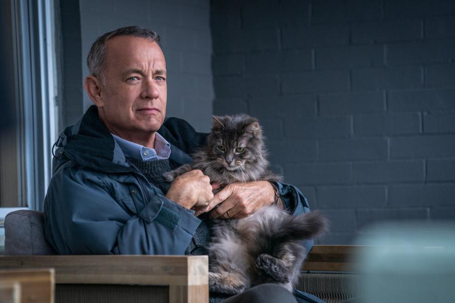 Tom Hanks hält eine graue Katze im Arm.