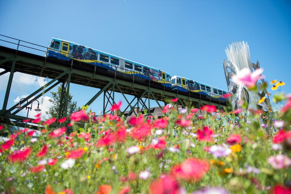 Ein Zug überquert eine Brücke, die hoch über dem Boden schwebt, mit Wolken am Himmel und Blumen auf der Wiese.