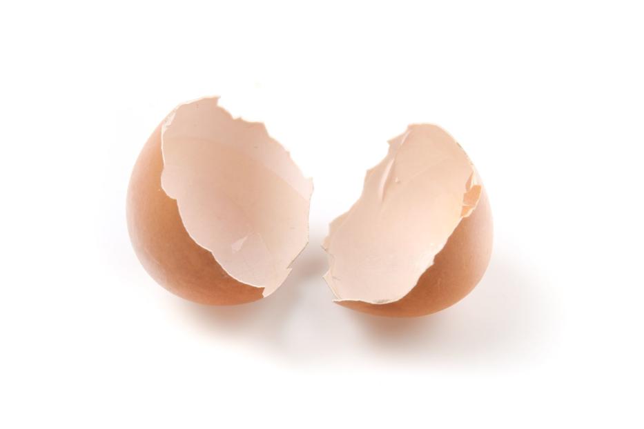 Eine zerbrochene Eierschale auf einem weißen Hintergrund.