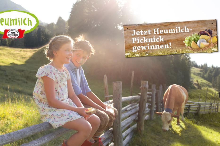 Zwei Kinder sitzen auf einem Zaun, während eine Kuh auf einer Weide grast.