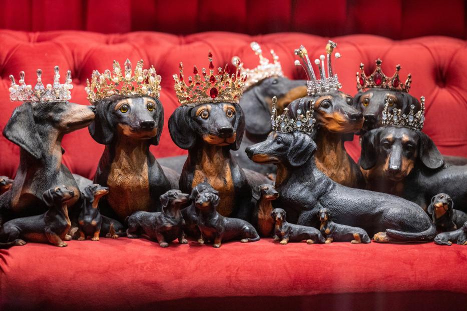Mehrere Dackel-Figuren mit Kronen sitzen auf einem roten Sofa.