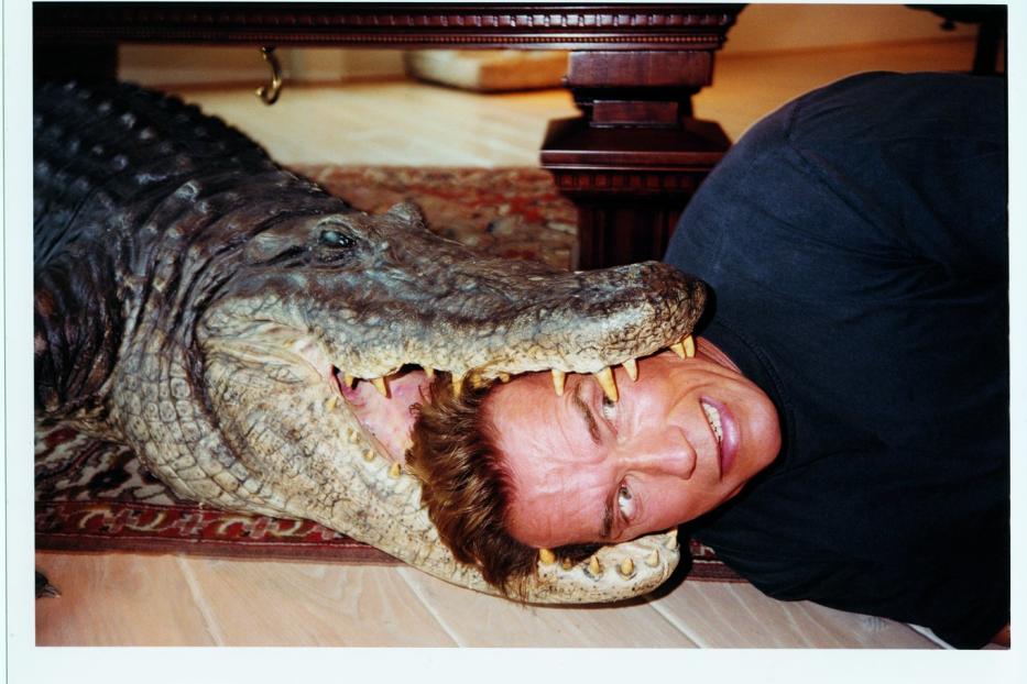 Arnold Schwarzenegger liegt mit seinem Kopf im Maul eines Alligators.