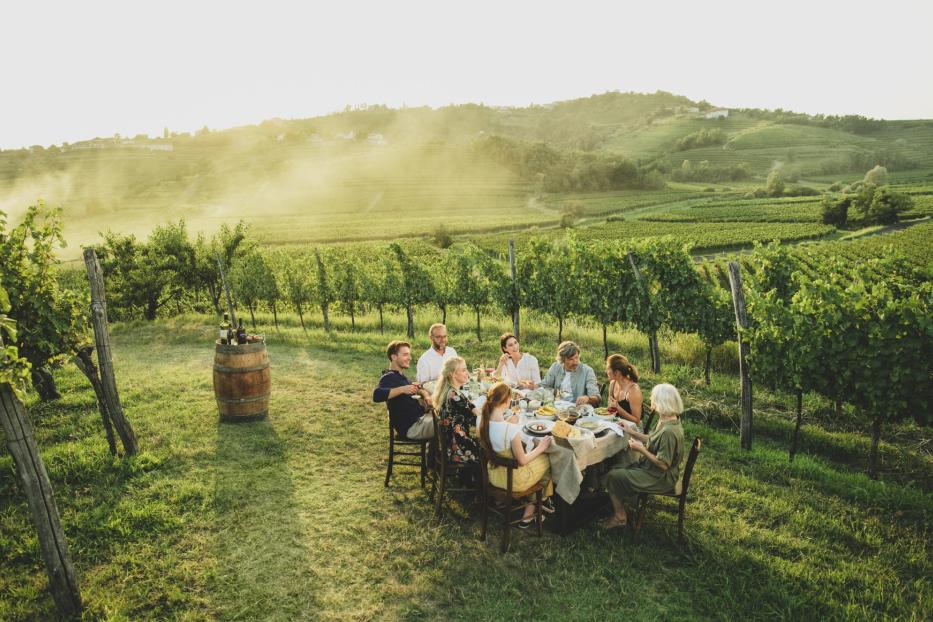 Eine Gruppe von Menschen isst im Freien in einem Weinberg zu Abend.