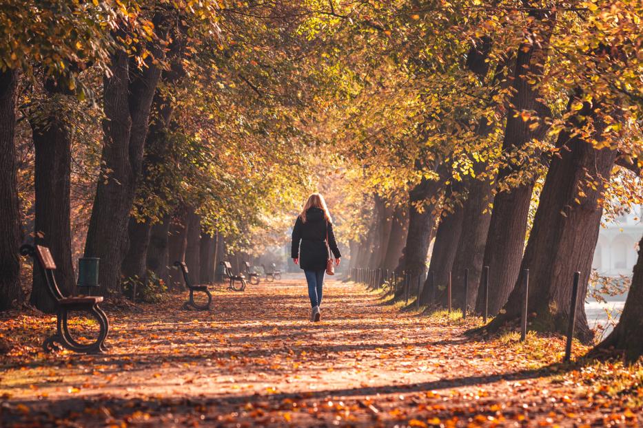 Eine Frau geht einen von Bäumen gesäumten Weg entlang, der mit Herbstlaub bedeckt ist.