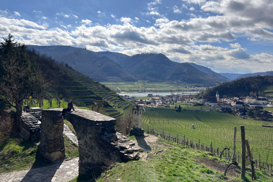 Blick auf Spitz an der Donau mit Weinbergen und bewölktem Himmel.