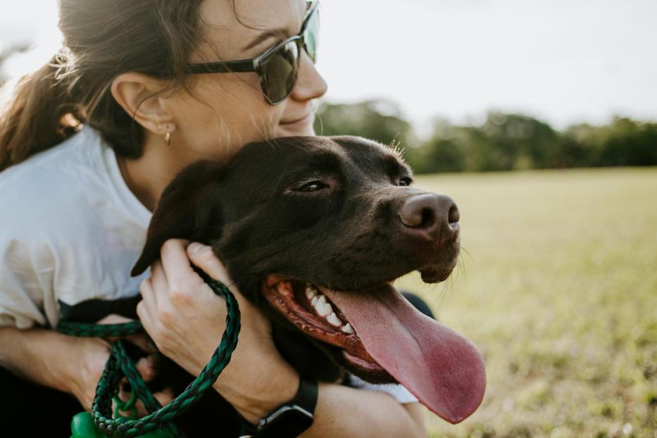 Eine Frau umarmt ihren braunen Labrador Retriever auf einer Wiese.
