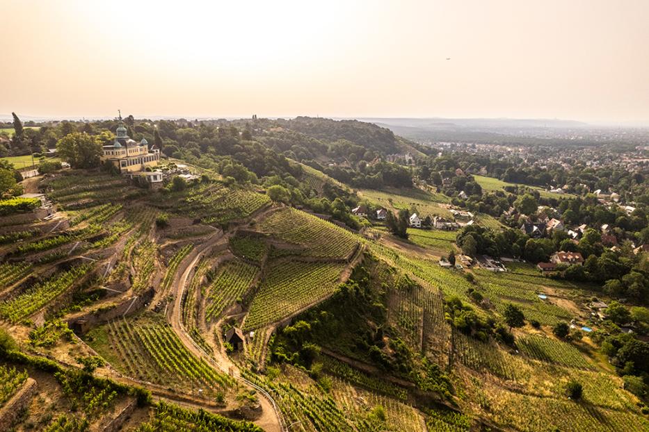Blick über terrassierte Weinberge auf ein gelbes Gebäude und eine Stadt im Hintergrund.