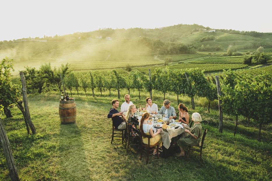 Eine Familie isst in den Weinbergen Sloweniens.