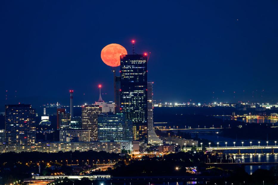++ THEMENBILD ++ WIEN: ERDBEERMOND / VOLLMOND